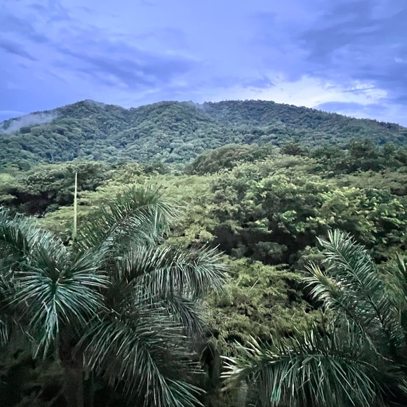 Meet your Posher, Melanie - Picture 3 of 3